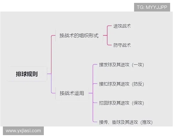 杭州排球队中路突破打法的专业分析与战术探讨